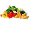 WHOLESALE OF VEGETABLES