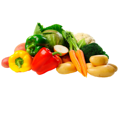 WHOLESALE OF VEGETABLES