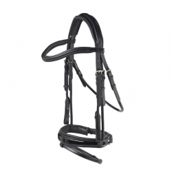 Horse Accessories