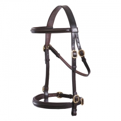 Bridle