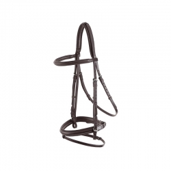 Bridle