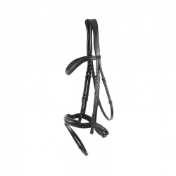 Bridle