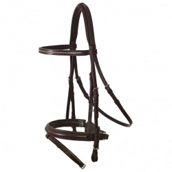 Bridle