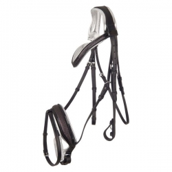 Bridle