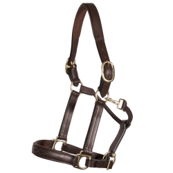 Halter
