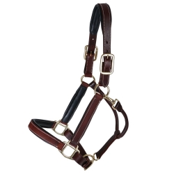 Halter