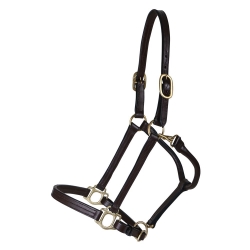 Halter