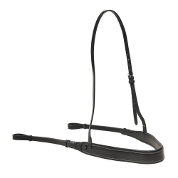 Breastplate