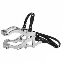 Mouth Speculum